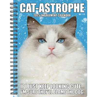 Catastrophe Engagement 2025 Calendar