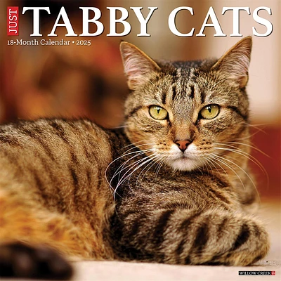 Just Tabby Cats Wall 2025 Calendar - Online Exclusive