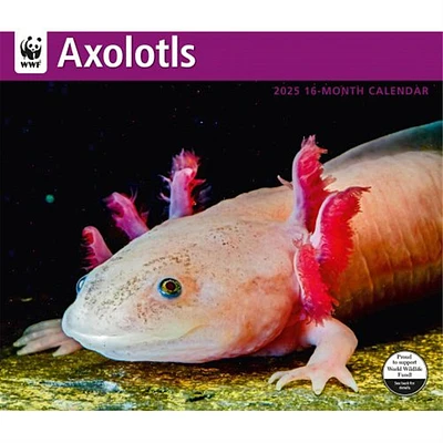 Axolotls World Wildlife Fund Wall 2025 Calendar