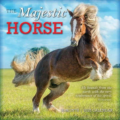 Majestic Horse Wall 2025 Calendar - Online Exclusive