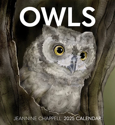 Owls Jeannine Chappell Wall 2025 Calendar