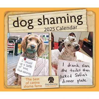 Dog Shaming Box 2025 Calendar