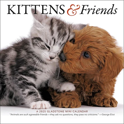 Kittens And Friends Mini 2025 Calendar