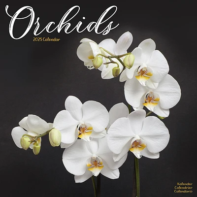 Orchids Wall 2025 Calendar