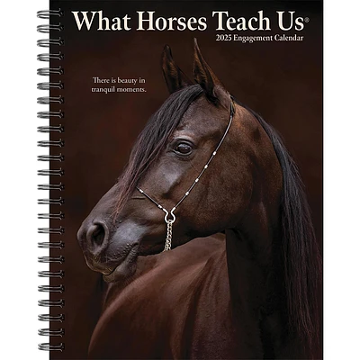 What Horses Teach Us Engagement 2025 Calendar