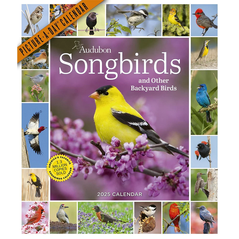 Audubon Songbirds 365 Wall 2025 Calendar