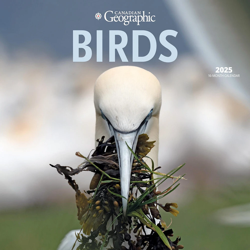 Birds Canadian Geographic Wall 2025 Calendar - Online Exclusive