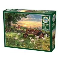 Field at Sunrise 1000 Piece Puzzle Cobble Hill