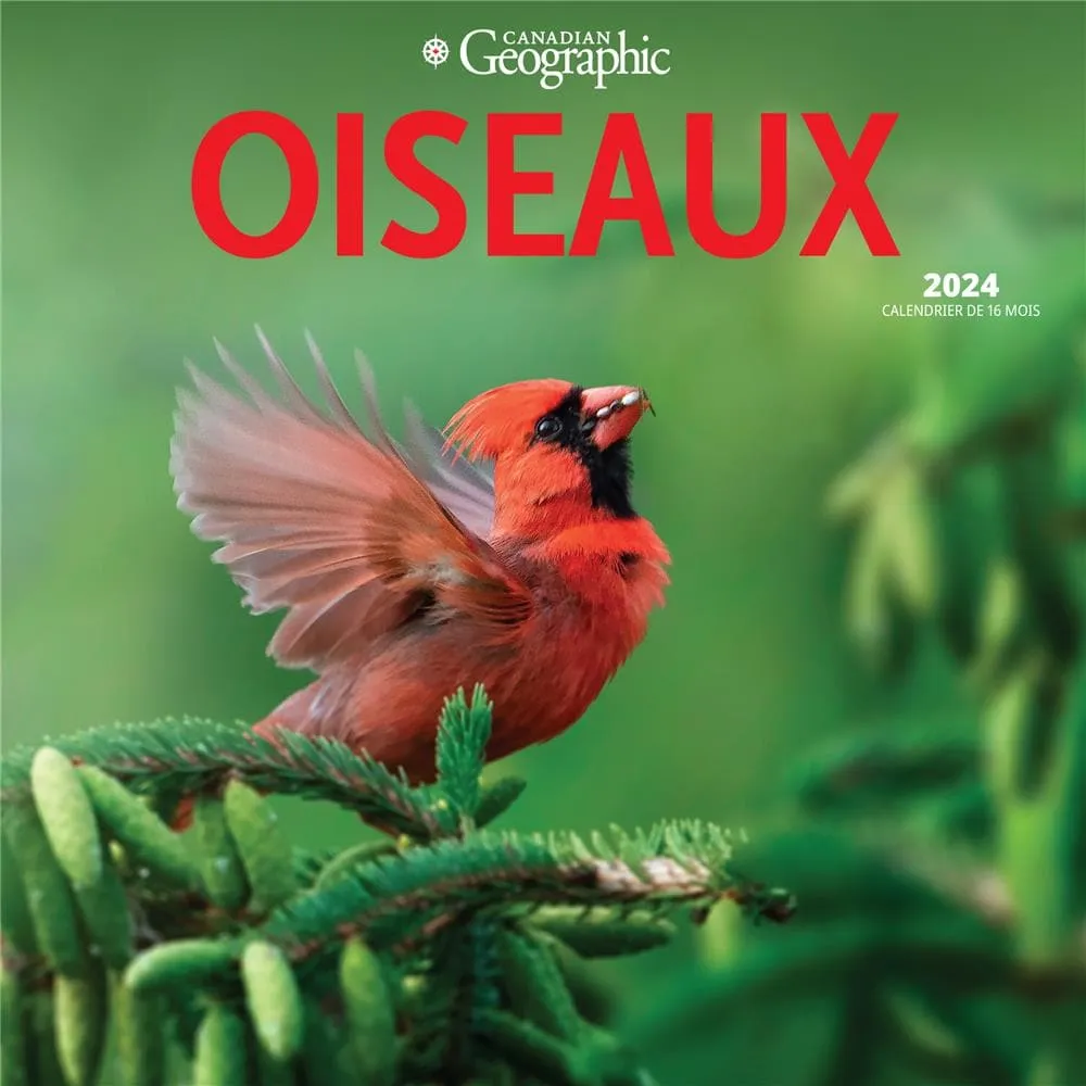 Wyman Publishing Oiseaux Birds Can Geo 2024 Wall Calendar (French)