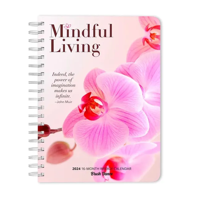 Calendars & Gifts to Swear by: 2024 Carpe F*cking Diem Planner: August  2023-December 2024 (Other) 