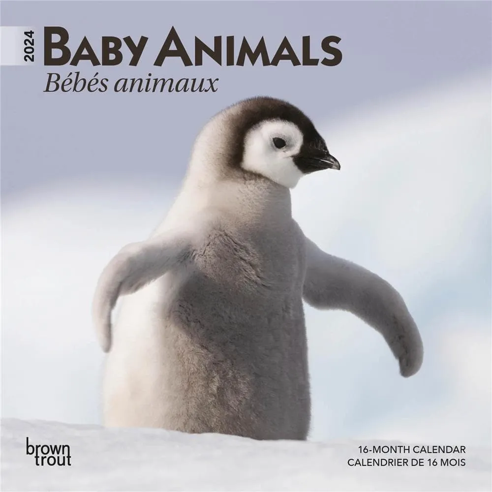 Calendrier 2024 Bebes animaux