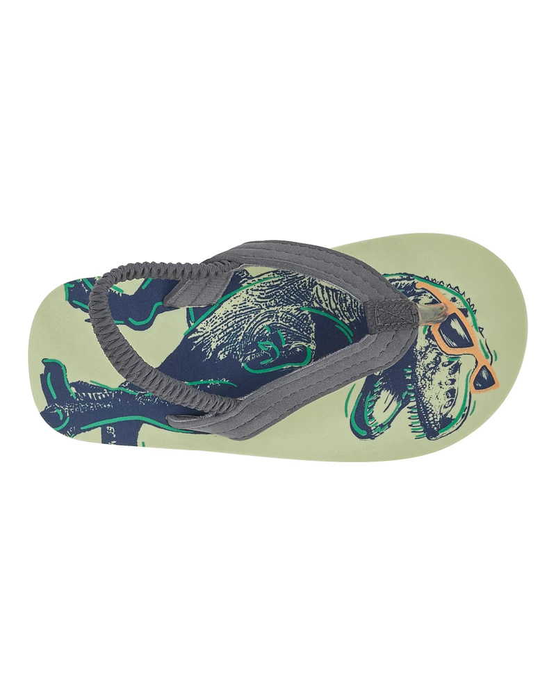 Dinosaur Flip Flops