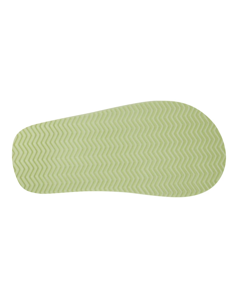 Dinosaur Flip Flops