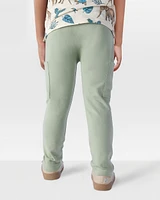 Toddler 2-Pack Organic Cotton Joggers