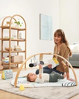 Baby Discoverosity Montessori-Inspired Play Gym