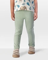 Toddler 2-Pack Organic Cotton Joggers