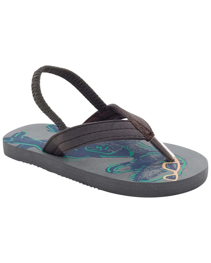 Dinosaur Flip-Flops