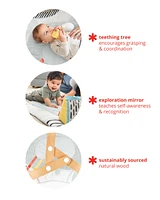Baby Discoverosity Montessori-Inspired Play Gym