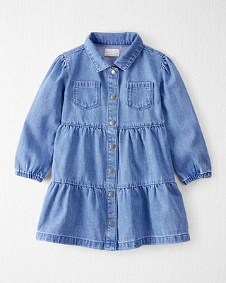 Toddler Organic Cotton Chambray Dress