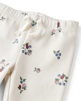 Baby Organic Cotton Ribbed Knit Pants Berry Blossom Print