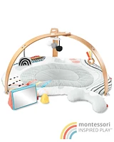 Baby Discoverosity Montessori-Inspired Play Gym