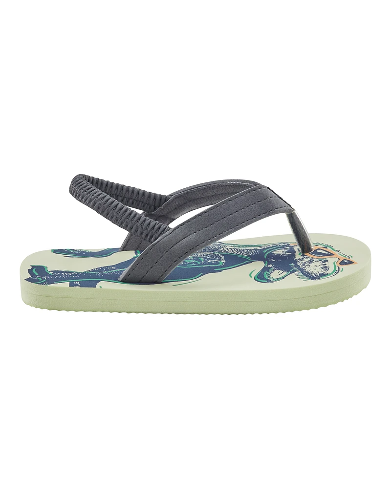 Dinosaur Flip Flops