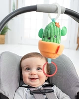 Baby Farmstand Jitter Cactus
