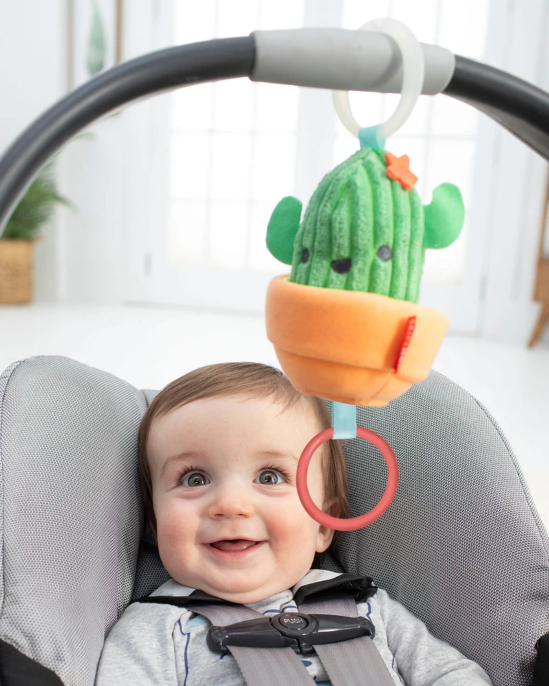 Baby Farmstand Jitter Cactus