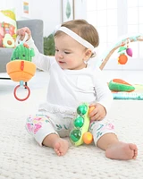 Baby Farmstand Jitter Cactus