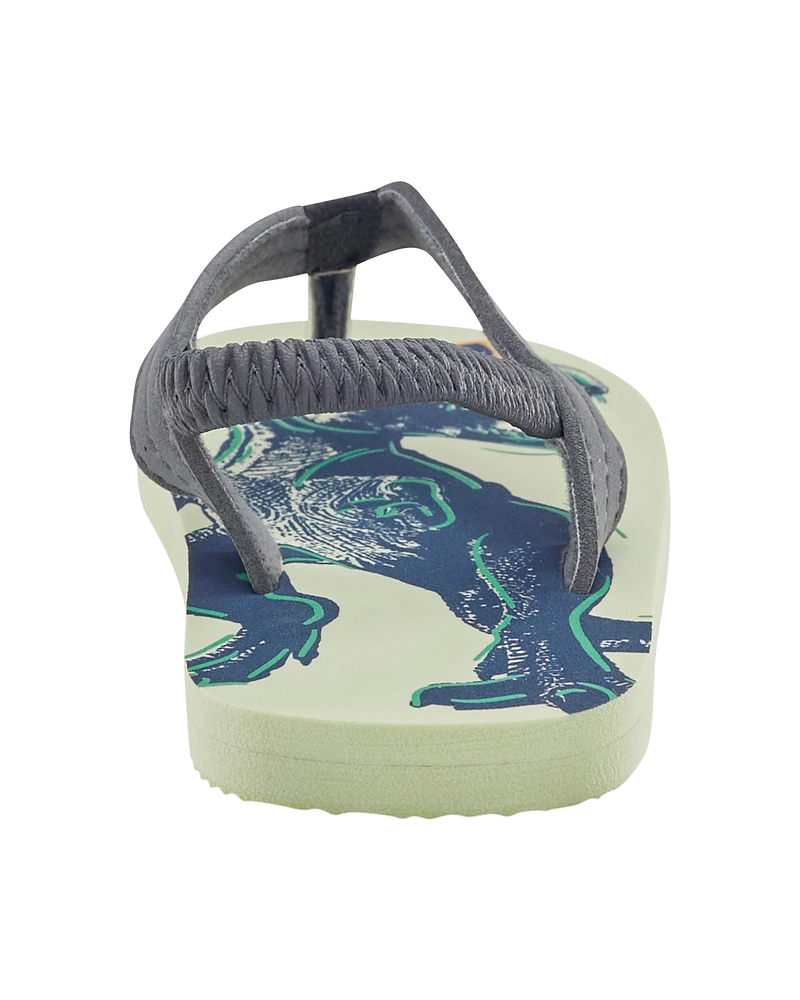 Dinosaur Flip Flops