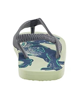 Dinosaur Flip Flops