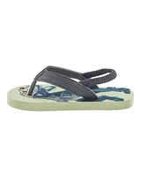 Dinosaur Flip Flops