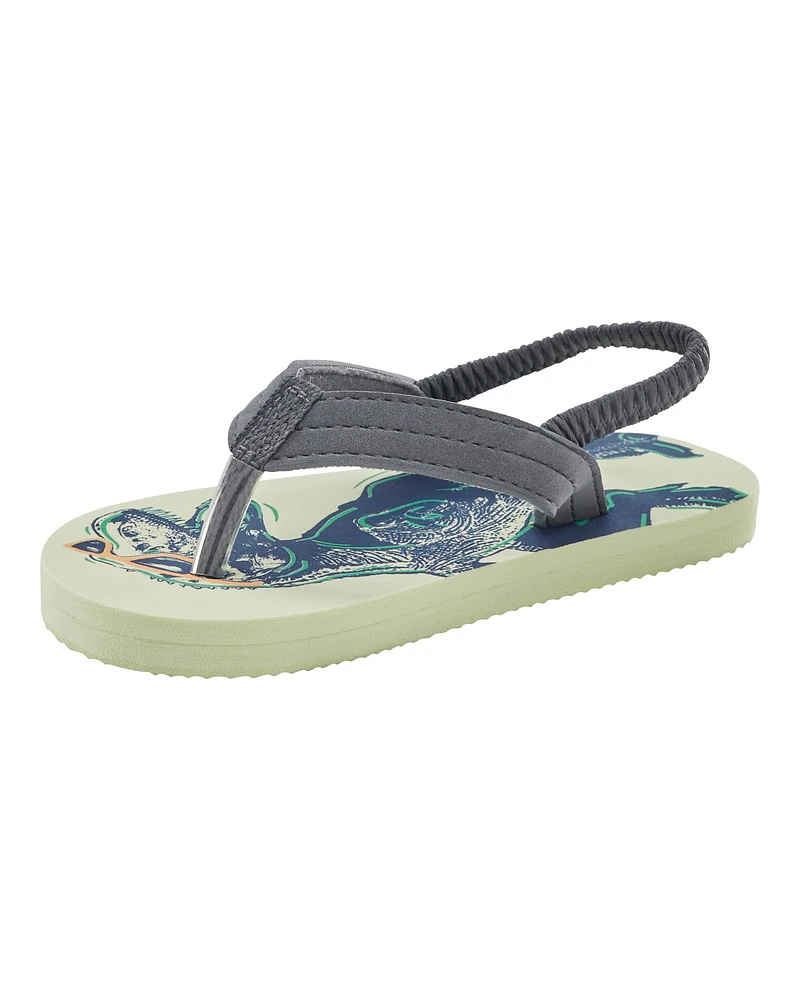 Dinosaur Flip Flops