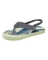 Dinosaur Flip Flops