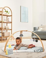 Baby Discoverosity Montessori-Inspired Play Gym