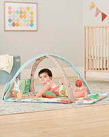 Farmstand Grow & Play Activity Gym