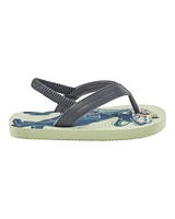 Dinosaur Flip Flops