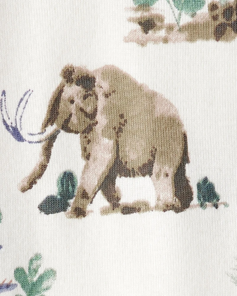 Kid Dinosaur Print Organic Cotton 2-Piece Pyjamas