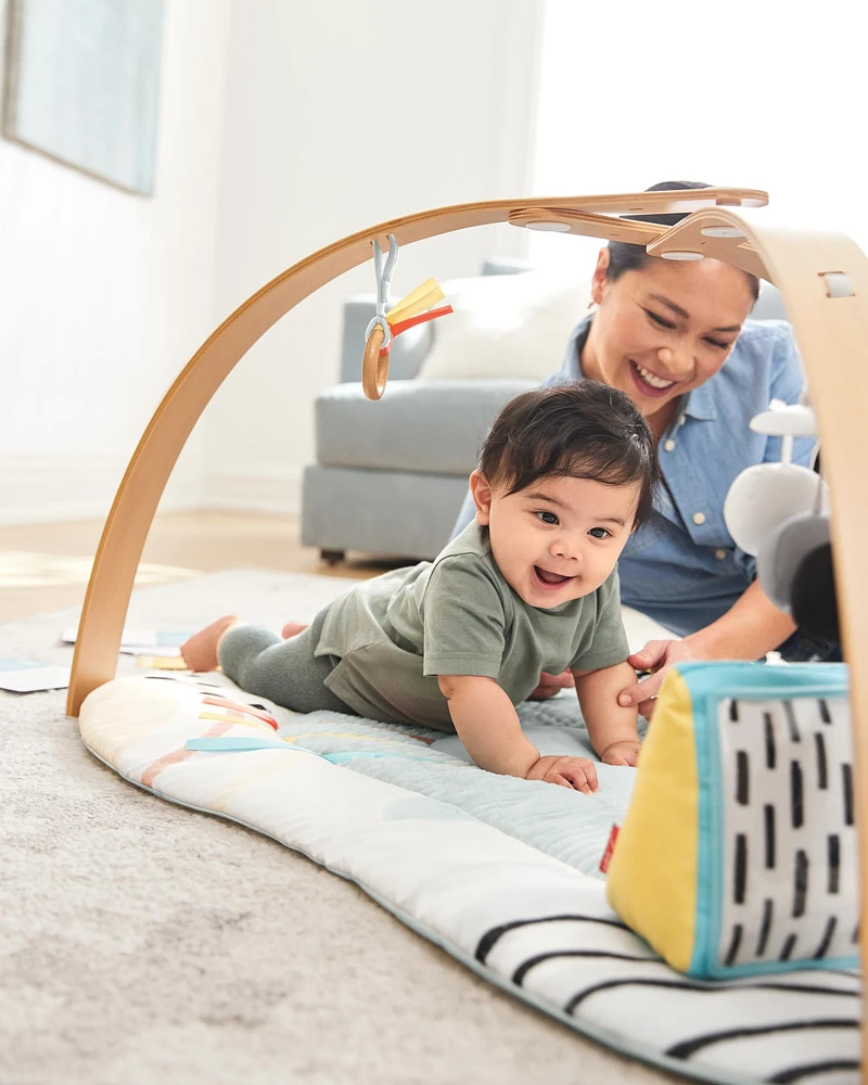 Baby Discoverosity Montessori-Inspired Play Gym