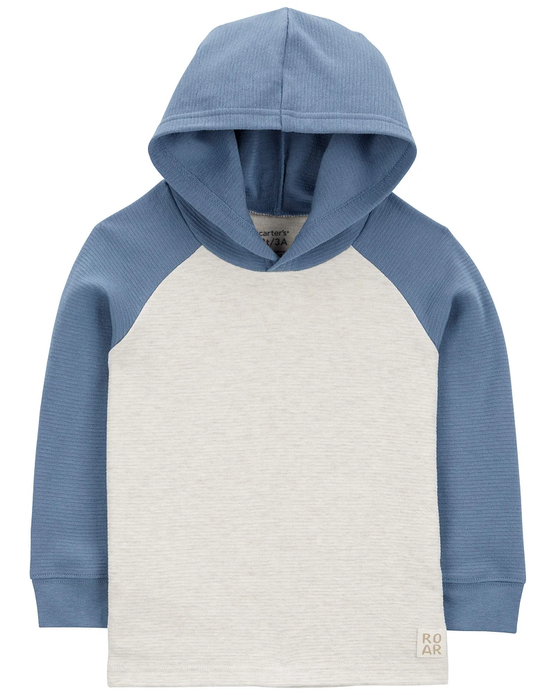 Toddler Colourblock Raglan Hooded Tee