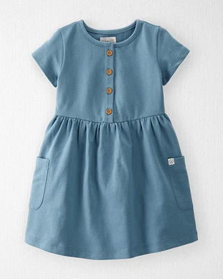 Toddler Organic Cotton Pocket Dress Cottage Blue