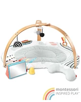 Baby Discoverosity Montessori-Inspired Play Gym