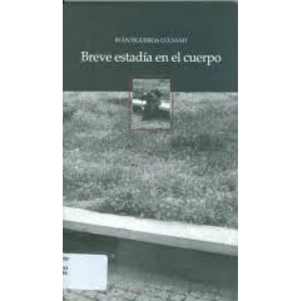 BREVE ESTADIA EN EL CUERPO