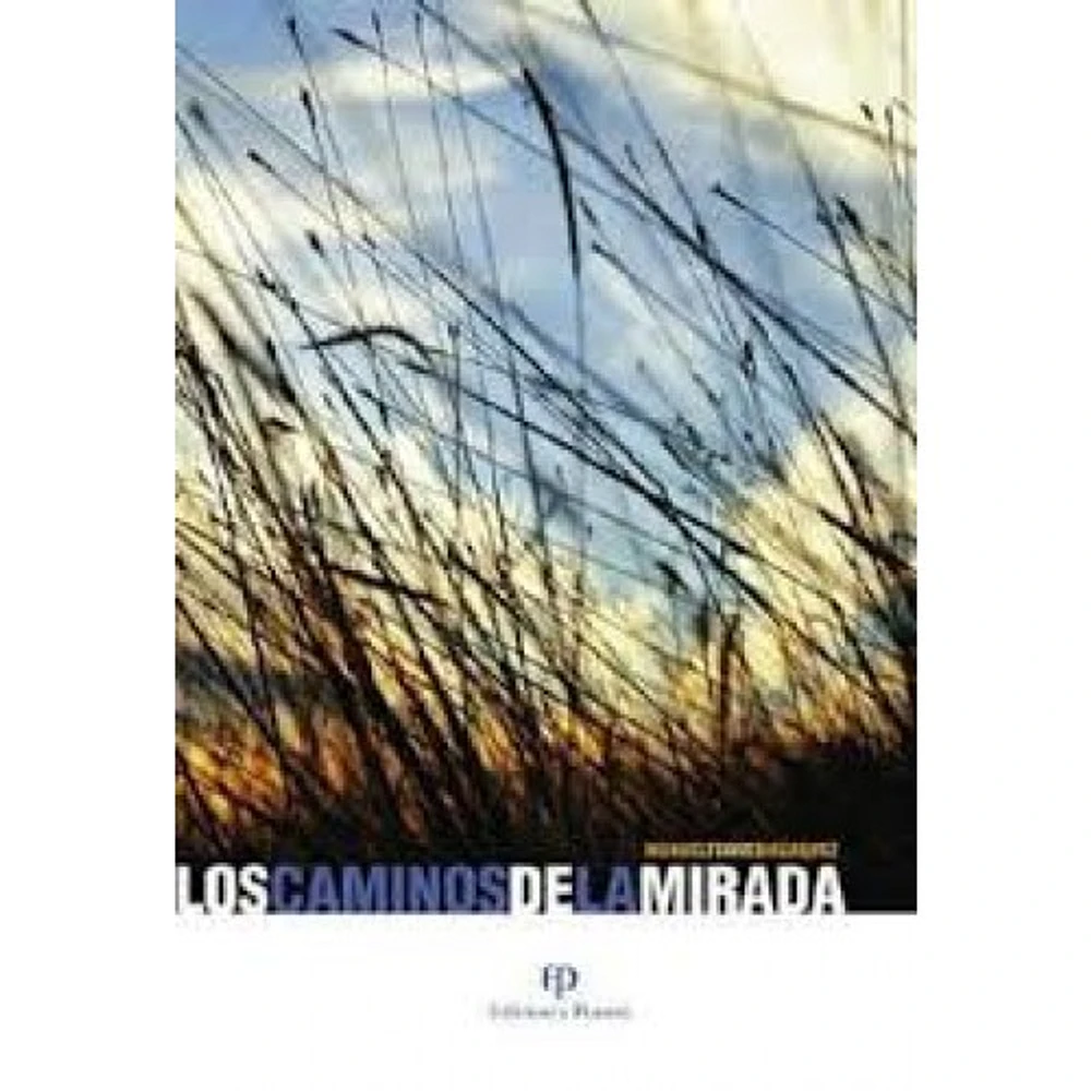 LOS CAMINOS DE LA MIRADA