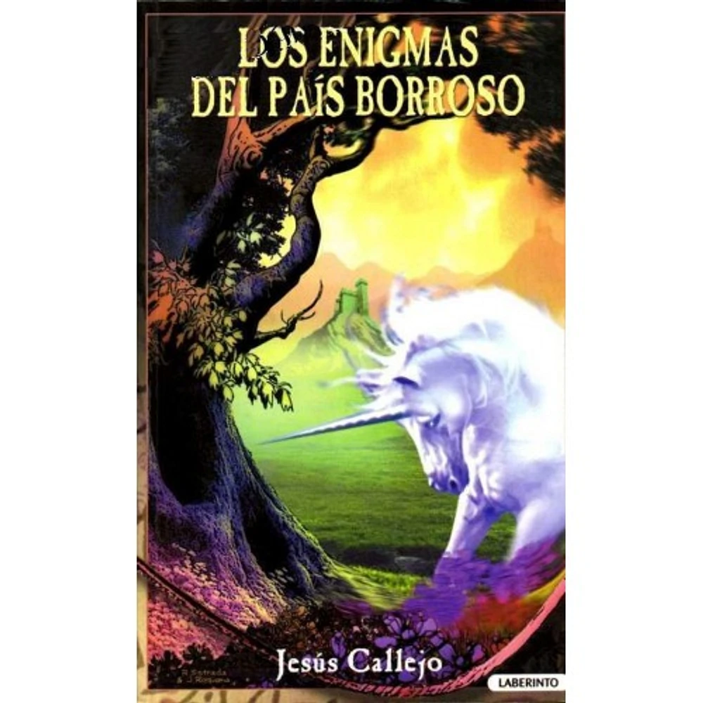 LOS ENIGMAS DEL PAIS BORROSO