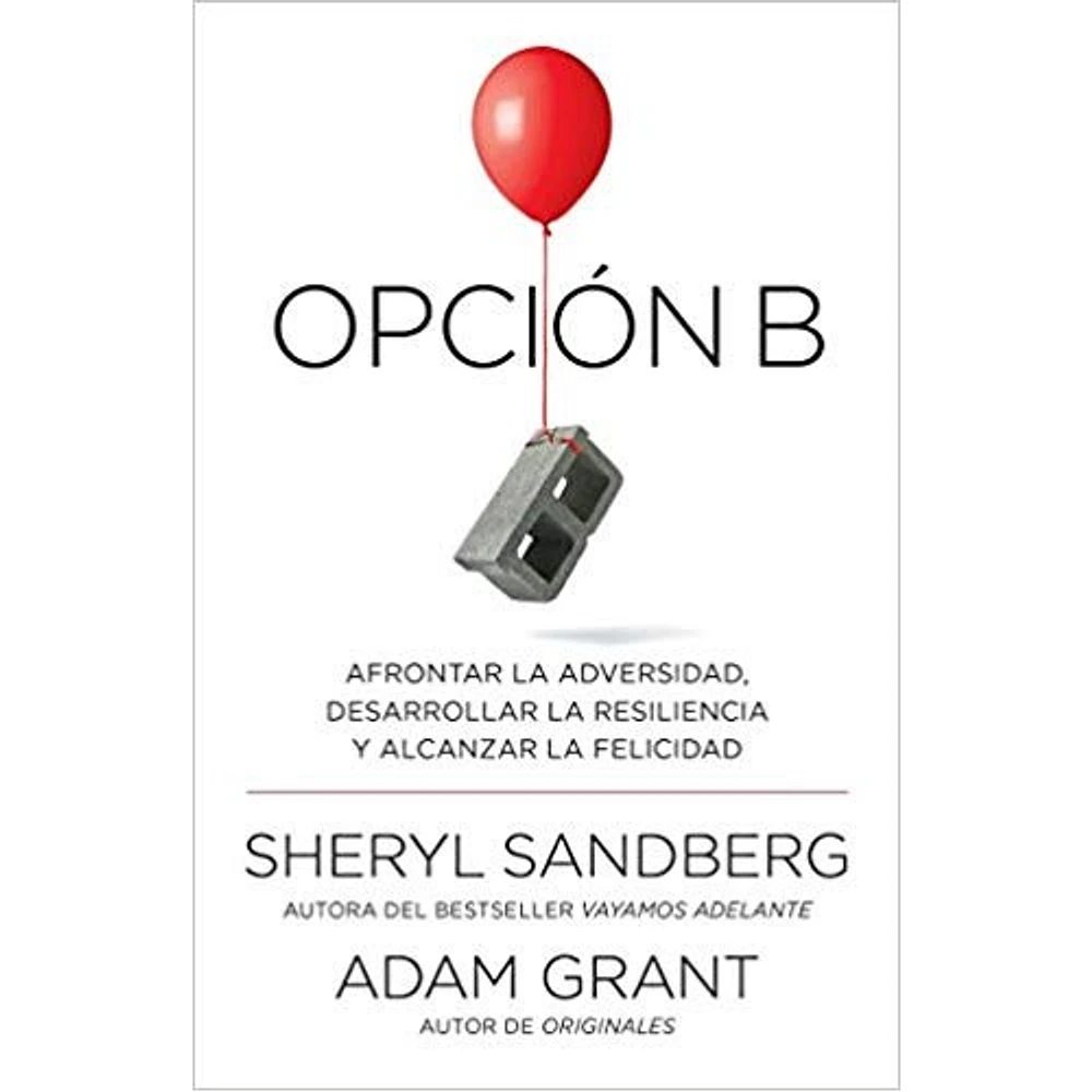 OPCION B