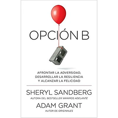 OPCION B