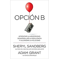 OPCION B