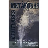 MIS PASO POR LA VIDA METAFORA MEDULARES