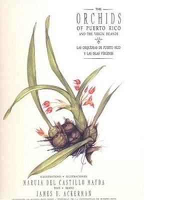 THE ORCHIDS OF PUERTO RICO